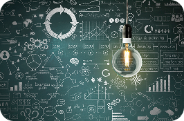 Mentorship & Strategic Guidance